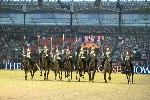 Cavalry - 00286
